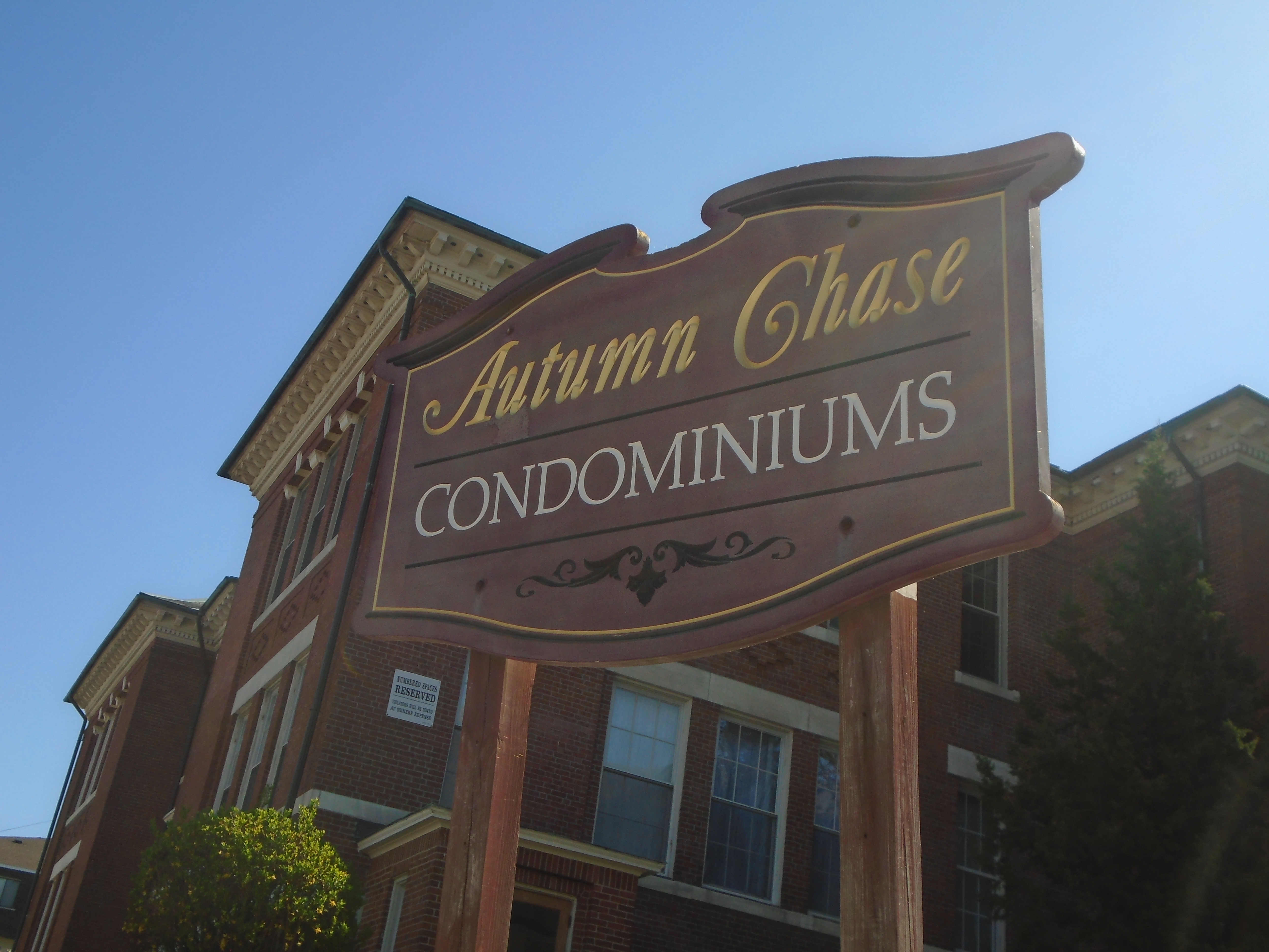 autumn chase autumn chase